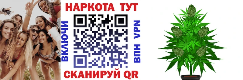 Купить Alpha PVP  Меф  Щёкино