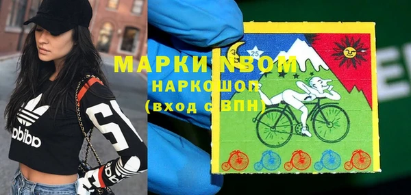 МДПВ Кукмор