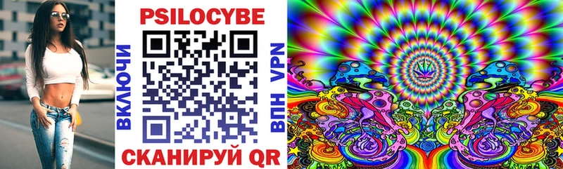 Купить закладки  Щёкино  Галлюциногенные грибы ЛСД 