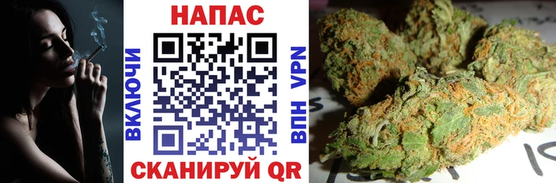 Купить закладки  Щёкино  Каннабис план 